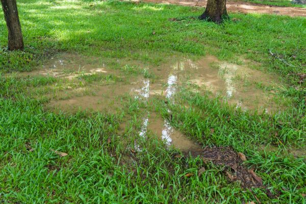 Storm Water Drainage Service in Monroe Township
